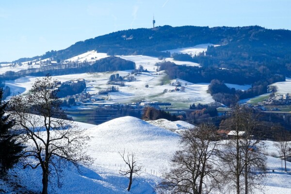 Vers les kames de la Gruyère
