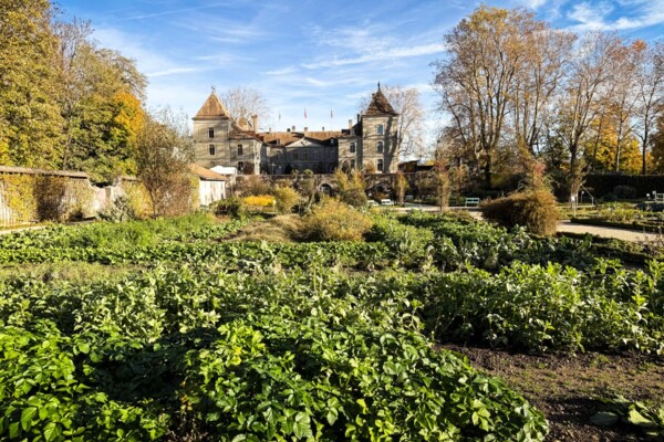 Von Schloss zu Schloss im Rebberg von La Côte
