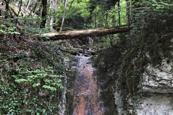 Ein Weg zum 40. Geburtstag des Kantons Jura