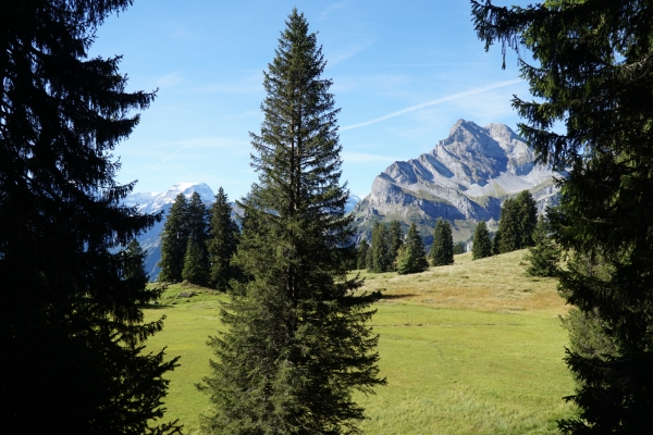 Von Braunwald zum Oberblegisee