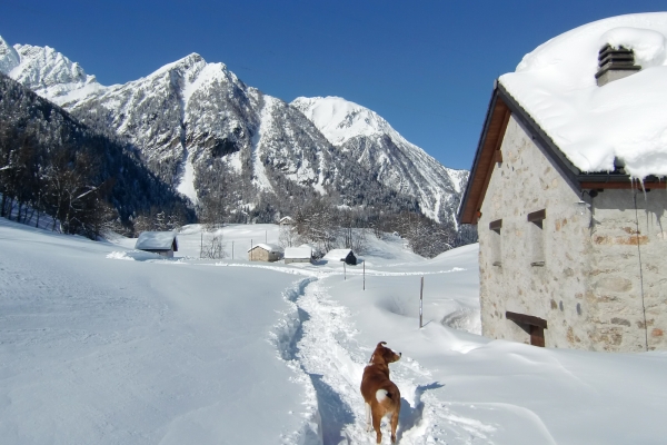 Schneeschuhtour in der Leventina