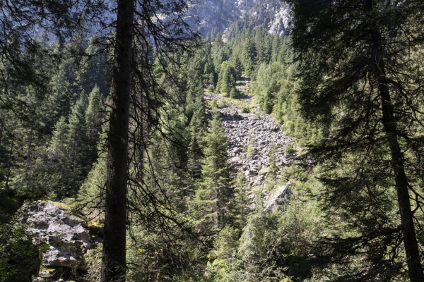 Auprès du roi des Alpes