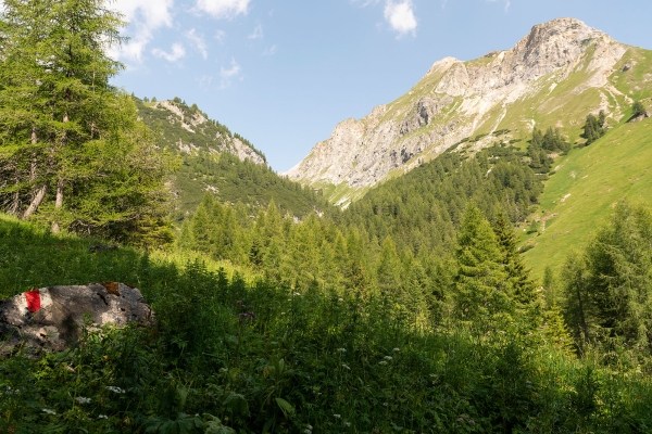 Haut dans le Safiental