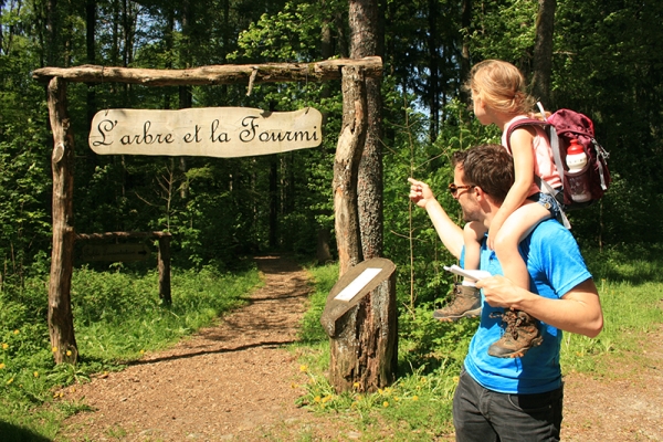 Unterwegs im Räuberwald