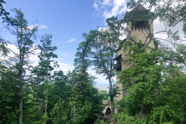 Escursione dei tre castelli nel Dorneck