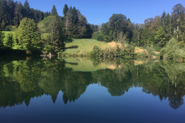 Un’intera giornata nell’Oberland zurighese