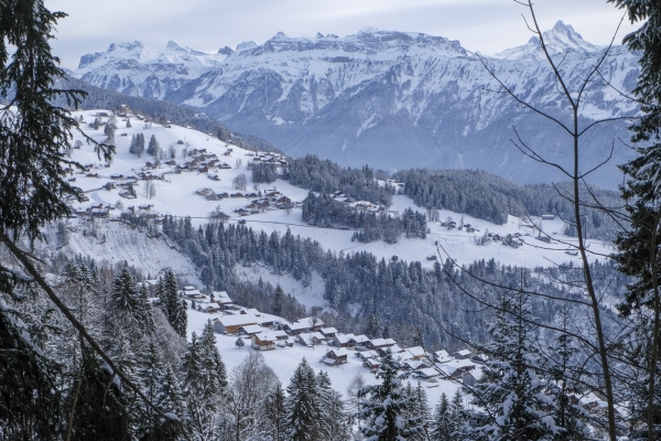Beatenberg und die verschneiten Berner Alpen