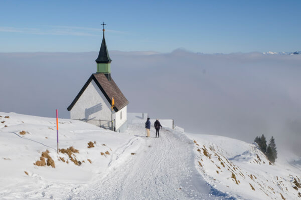 Appenzeller Panorama vom Kronberg