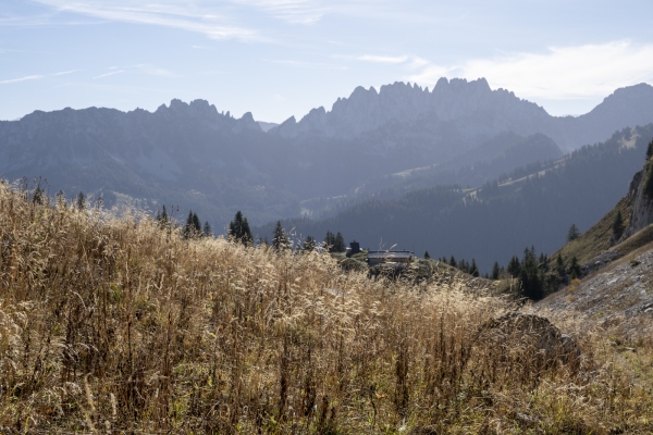 Dans les Préalpes fribourgeoises