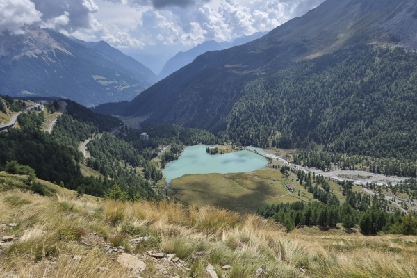 Über die Alp Grüm auf den Berninapass