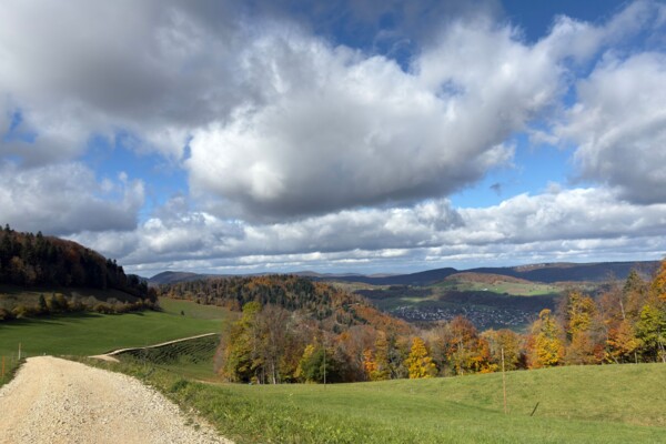 Über die Krete des Fringelibergs