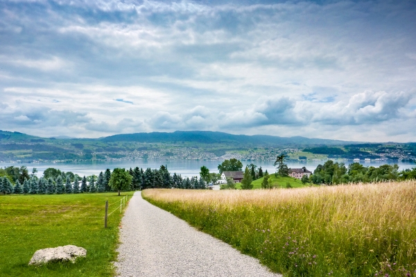 Sul sentiero circolare del lago di Zurigo