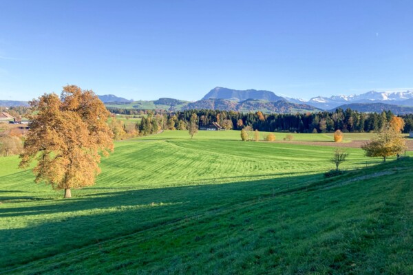 Zu den Schotterebenen im Luzerner Seeland