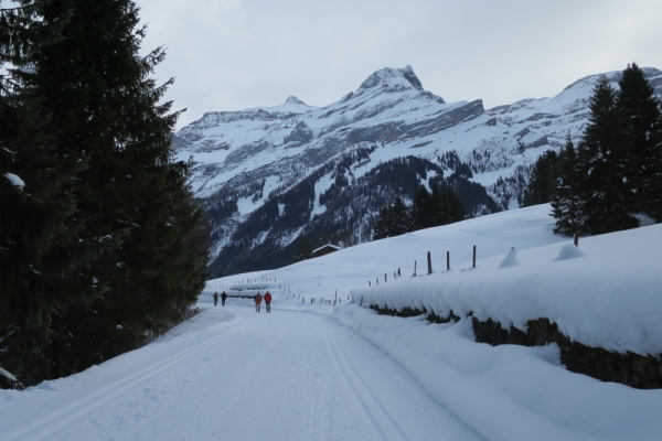 Im Hochtal von Les Diablerets