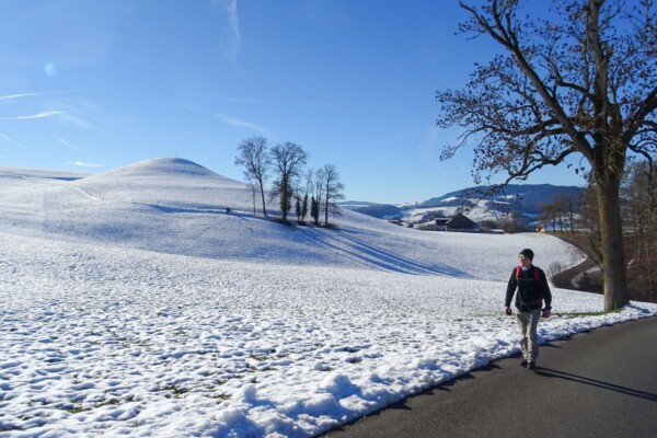 Zu den Kames im Greyerzerland