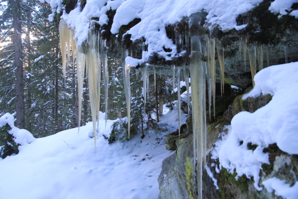 Schneeschuhtour entlang der Göschenerreuss