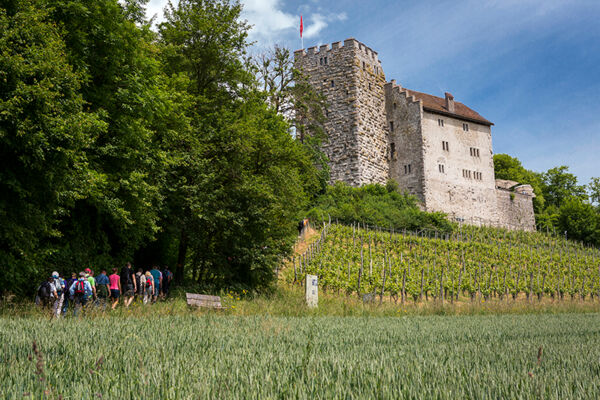 Von der Habsburg zum Schloss Wildegg