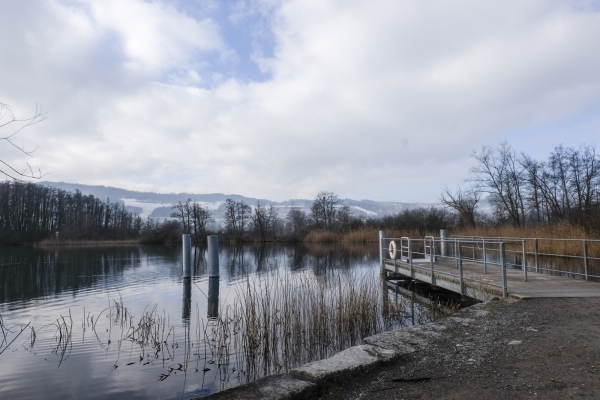 Quiétude hivernale près du lac de Hallwil