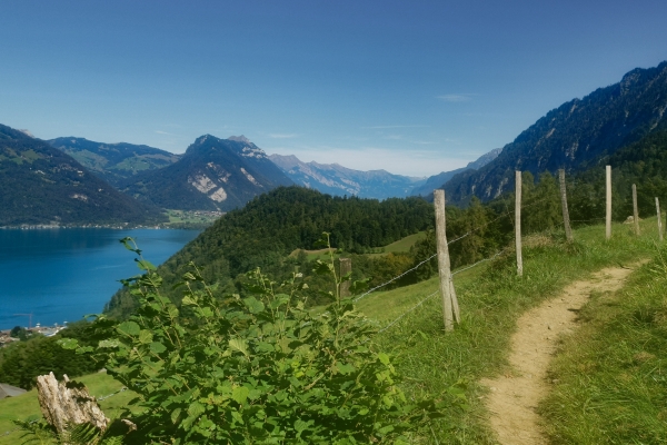 Pittoresca escursione sopra il lago di Thun