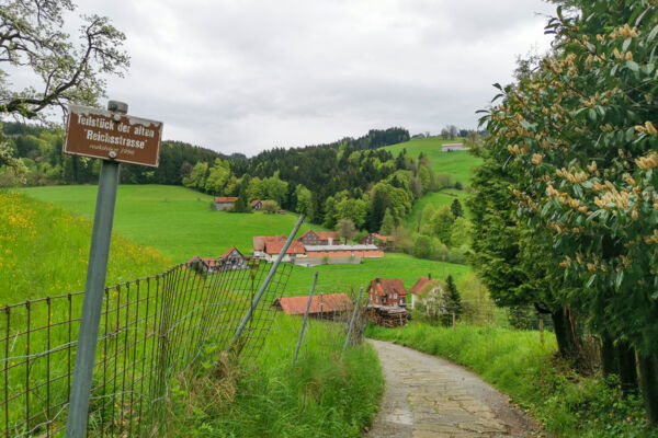 Trainingstour im Appenzeller Vorland