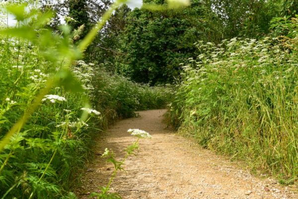 Auf dem Uferweg zum Baselbieter Hardwald