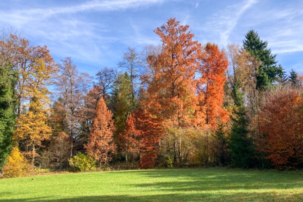 Du joli lac de «glace morte» au lac de Zurich