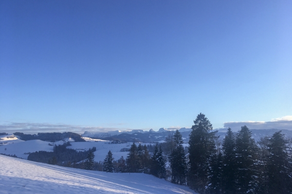 Winterlicher Schwarzwassergraben