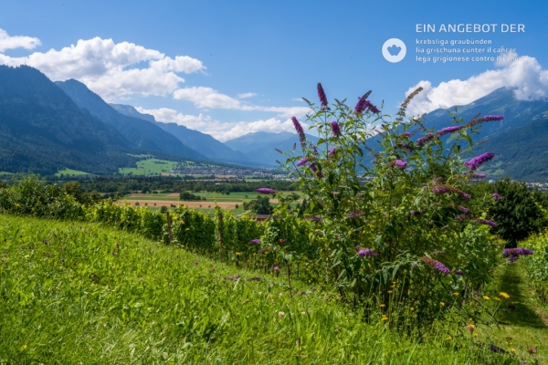 Angebot Krebsliga Graubünden: Kräftigender Blick über's Tal