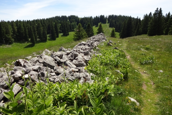 Aventure au sommet dans le Jura vaudois