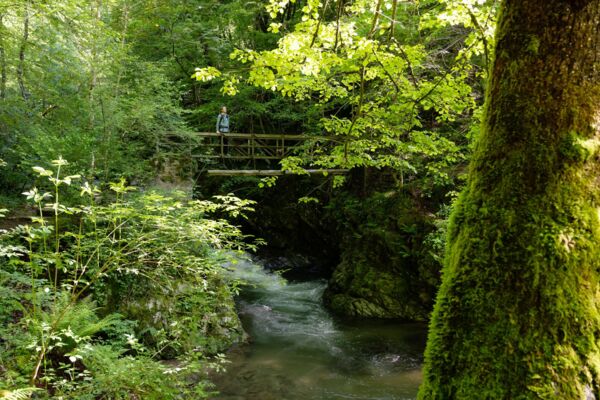 Un bosco rigoglioso e una cascata nel Malcantone