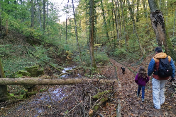 Vers les châteaux de Wartburg