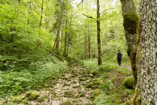 Dem Absinth auf der Spur im Val de Travers