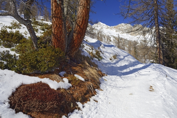 Godersi un tour in Val Bedretto