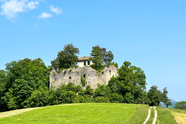 De château en château aux portes de Bâle