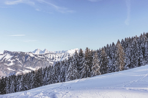 Wintermärchen in den Freiburger Voralpen