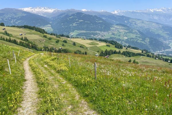 Eine tolle Aussicht von der Bündner Rigi aus