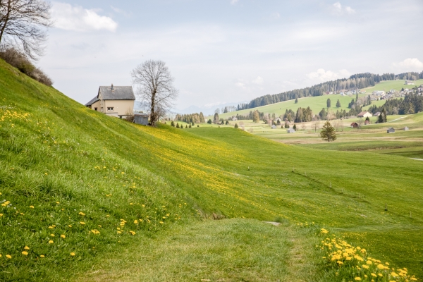 Festival de couleurs en Appenzell