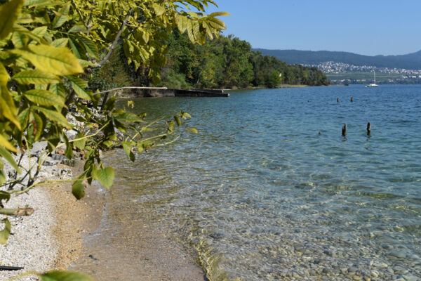 De la presqu’île au lac de Neuchâtel