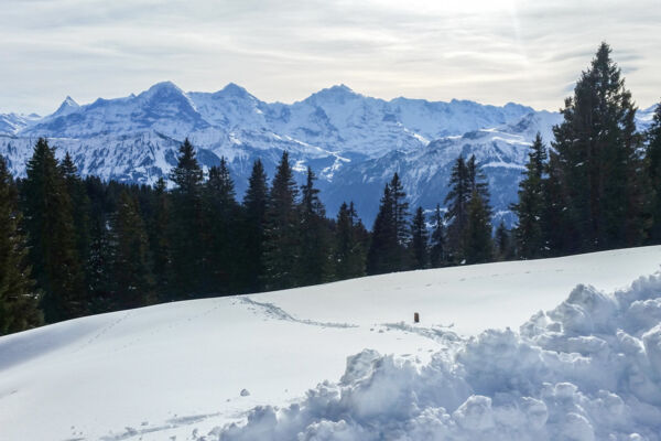 Chüematten-Trail am Niederhorn