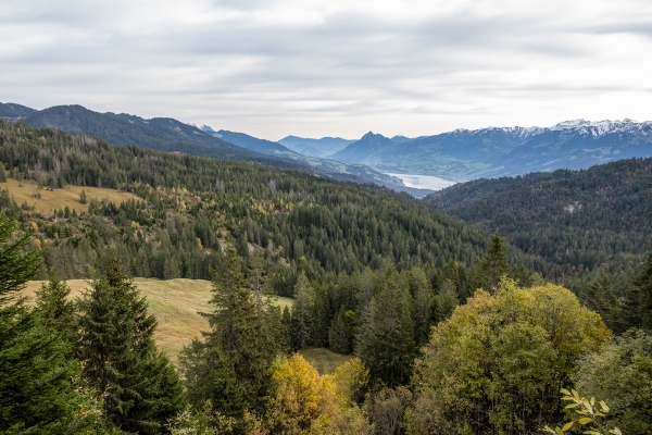 Durch Moorlandschaften am Glaubenbielenpass