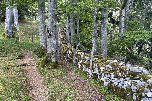 Dal borgo monastico al Montbautier