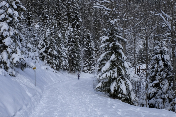 Beatenberg und die verschneiten Berner Alpen