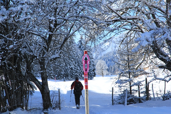 Über vier Schultern wandern