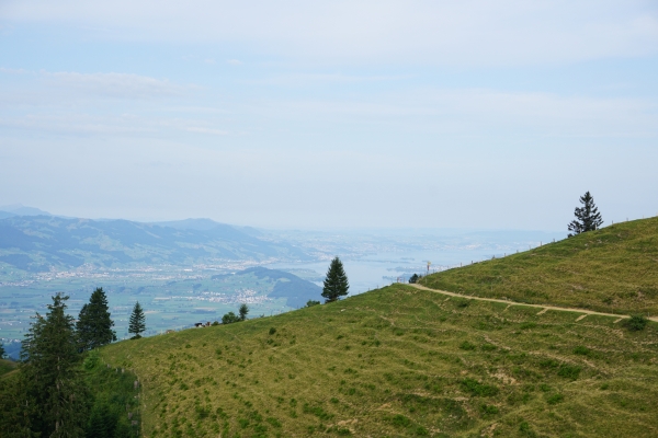 Teil des Toggenburger Höhenweges