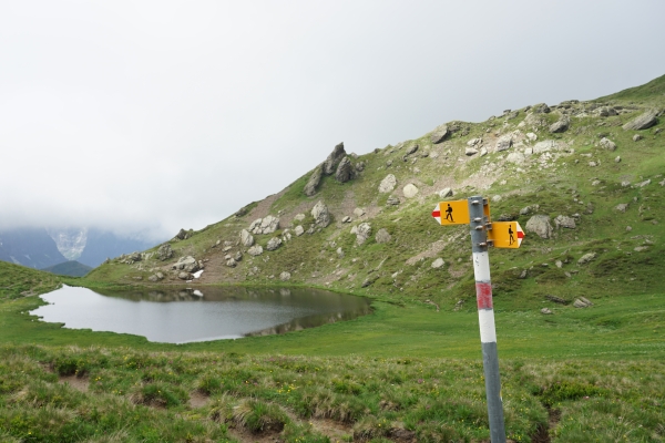 Sentier panoramique vers la Grande Scheidegg