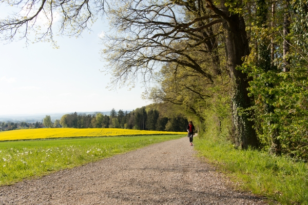 Von Weinfelden nach Frauenfeld