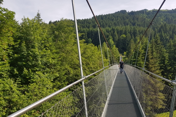 Auf den Spuren der Mufflons