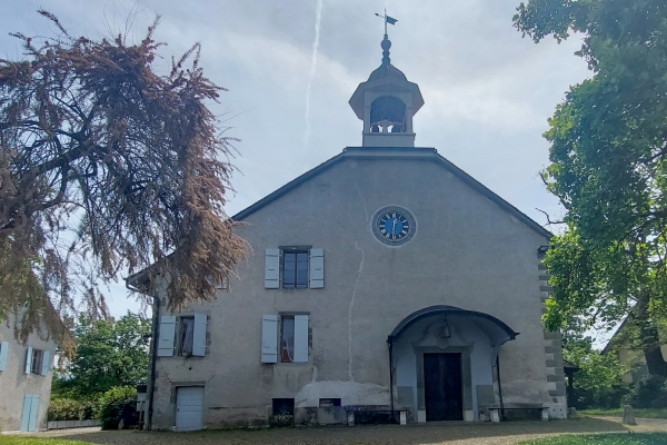 Faune et flore d’exception sur la rive du Rhône