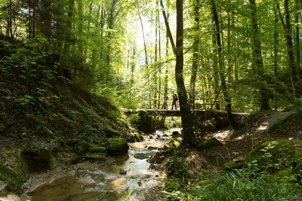 Zum Vater des Wanderns auf dem Pfannenstiel