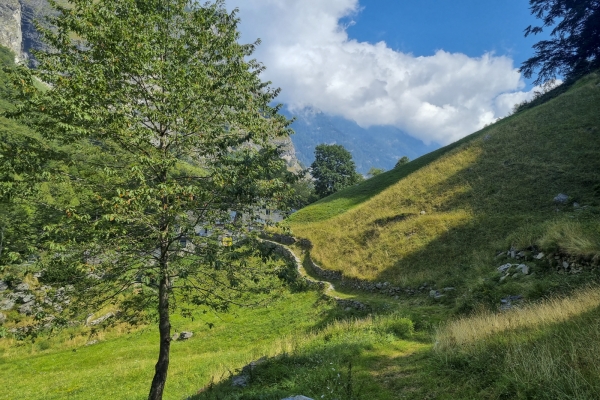 Un parfum frontalier au Simplon